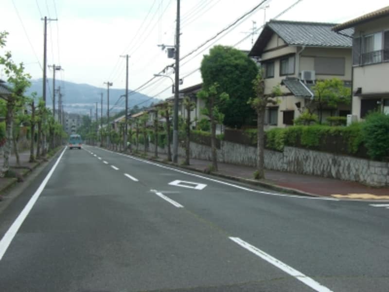 建物の屋根のライン・形状が一律に揃っていてとても美しい。