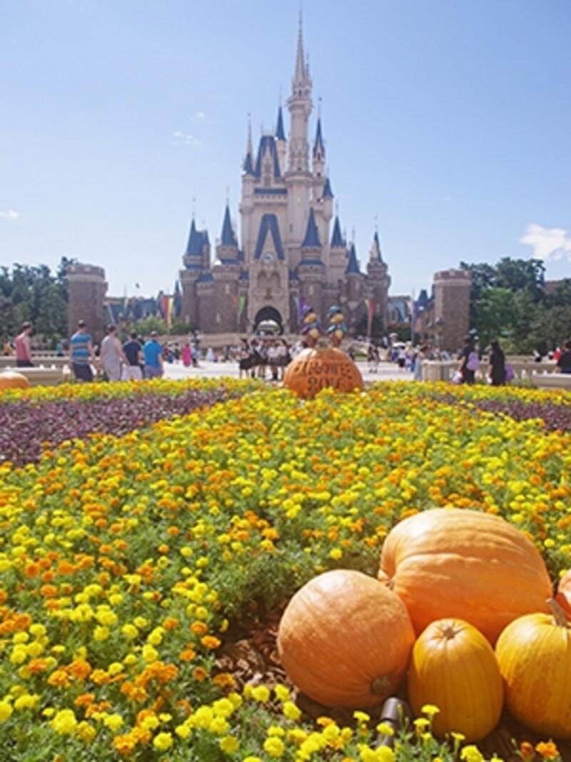 ディズニーハロウィーン