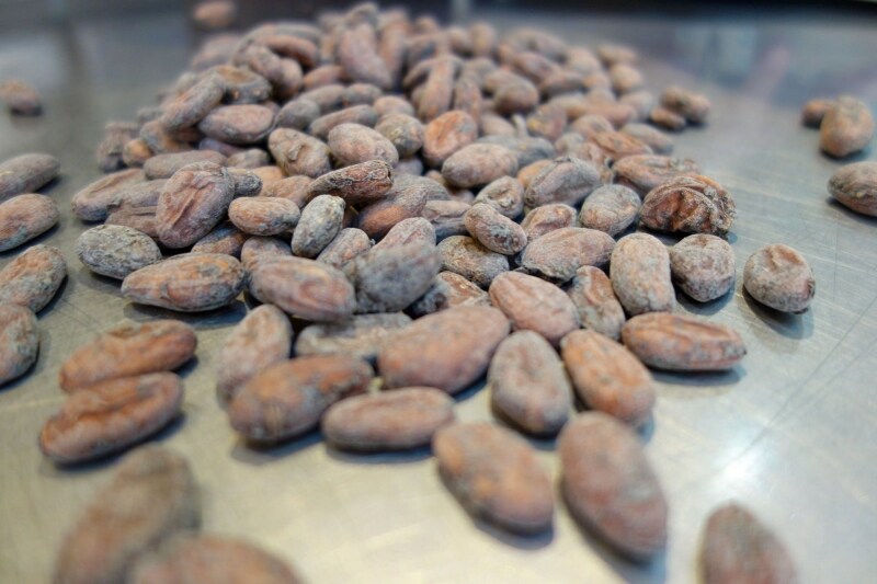 ガーナから清里に届いたカカオ豆