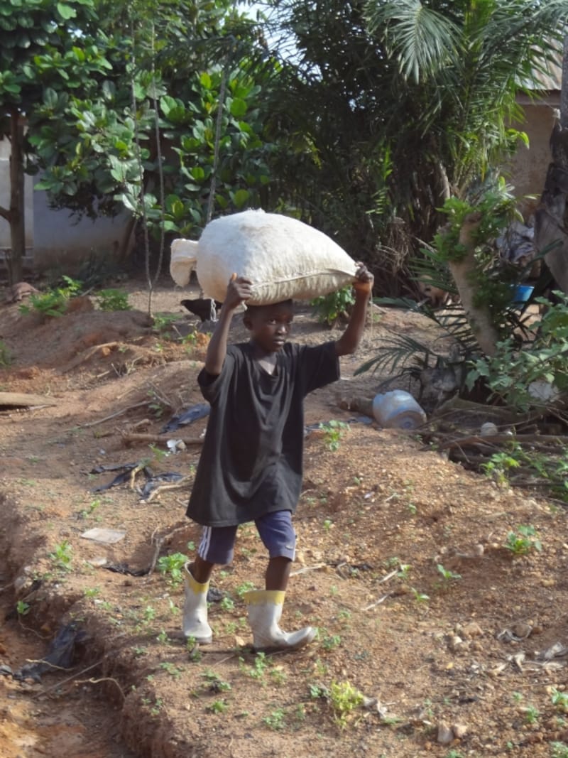 重いカカオ豆の袋を運ぶ子どもundefined「写真提供：ACE」画像提供