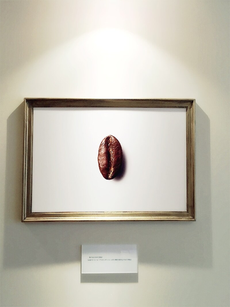 ポワントゥは「尖った」の意味。このコーヒー豆の独特の形状から名付けられた。