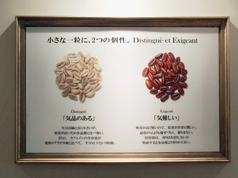 小さな一粒に、2つの個性