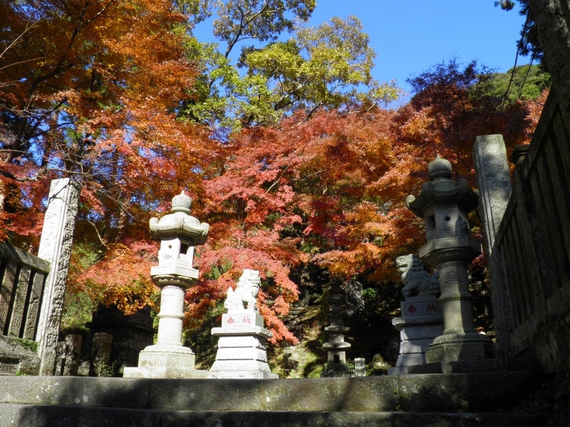 建長寺・半僧坊付近の紅葉