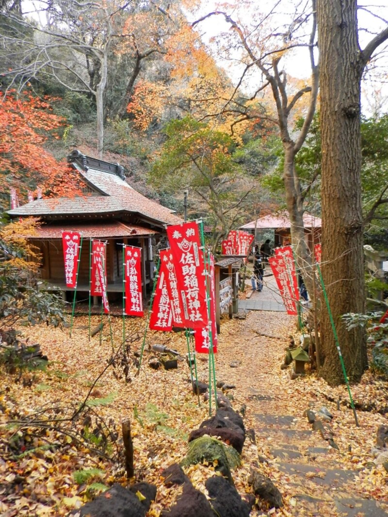 佐助稲荷神社の紅葉