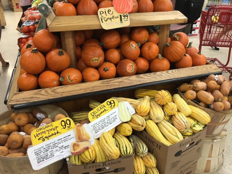 見たことのないパンプキンもいっぱい！
