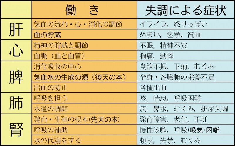 五臓六腑
