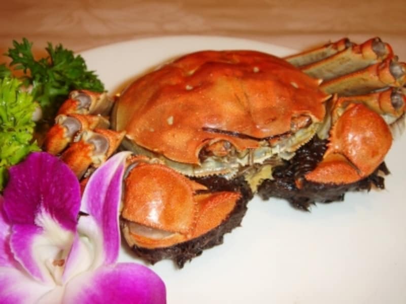 香港のオプショナルツアー ベルトラ