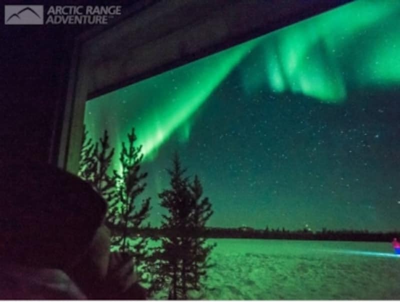 ホワイトホースのオプショナルツアー ベルトラ