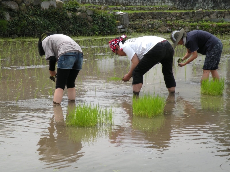 田舎暮らしの体験がオススメ