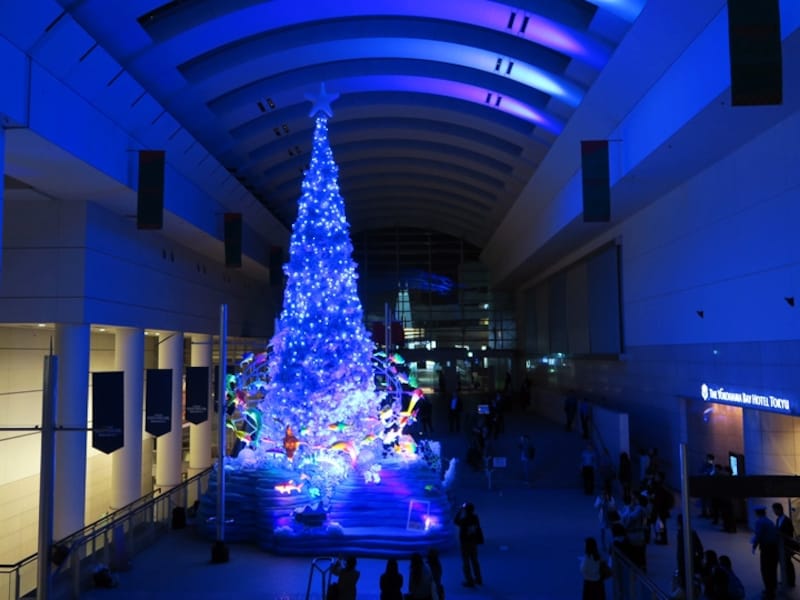 クイーンズスクエア横浜「Ocean Fantasy Tree~君と100回目の恋~」。1日6回、ショータイムが繰り広げられます(2016年11月7日撮影)