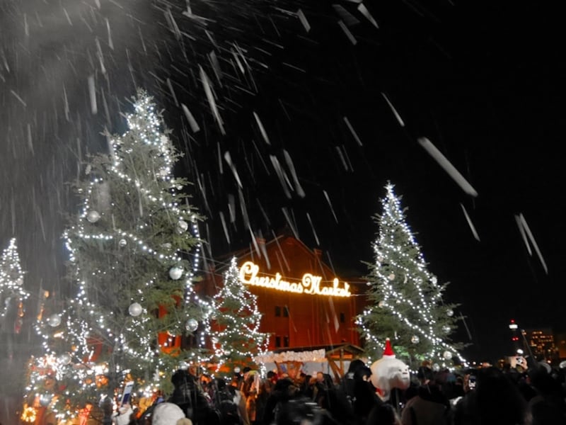 今年は期間中の特定日に「降雪イベント」が開催(2016年11月25日撮影)