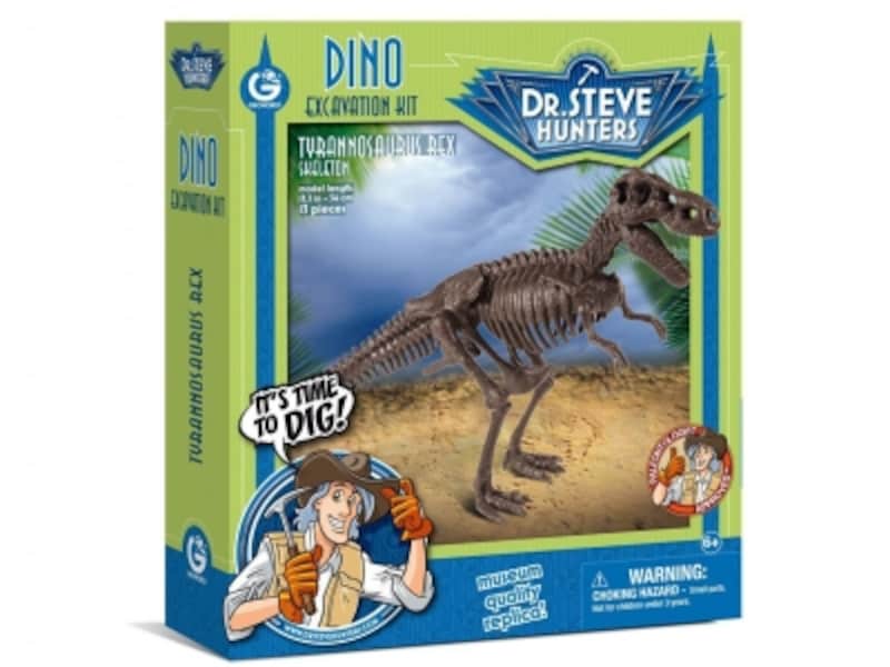リアルな恐竜の骨格は恐竜好きの子どもには最高の贈り物