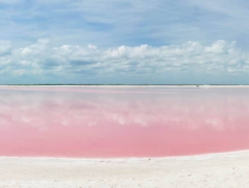 カンクンのオプショナルツアー ベルトラ
