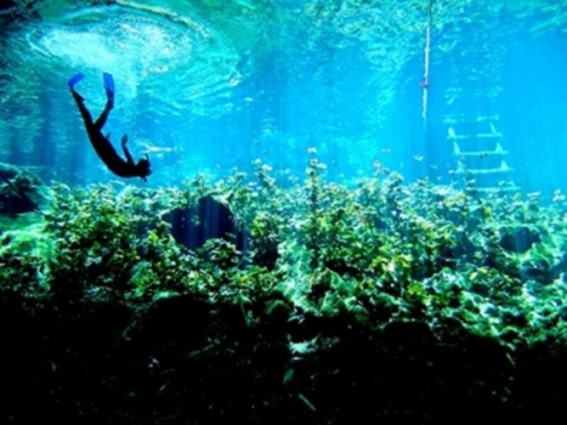 カンクンのオプショナルツアー ベルトラ