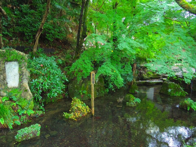 居醒の清水