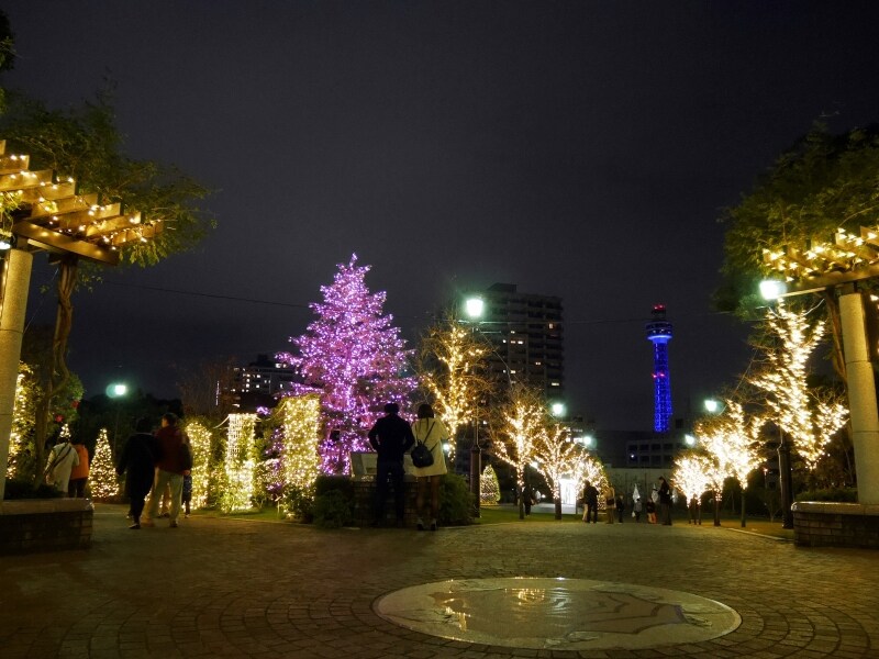 みなとみらい線 元町・中華街駅のすぐ上に位置するアメリカ山公園では、ロマンティックなイルミネーションが点灯(2016年11月26日撮影)