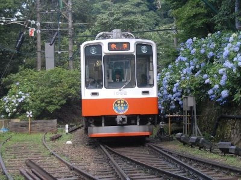 あじさいに迎えられて宮ノ下駅に到着した強羅行き電車