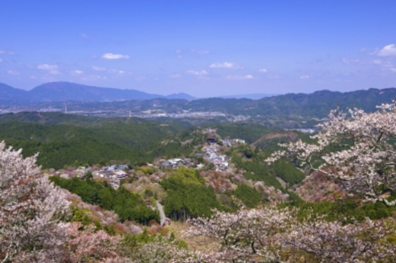 「花矢倉展望台」からは、遠くに、金峯山寺の蔵王堂も見える