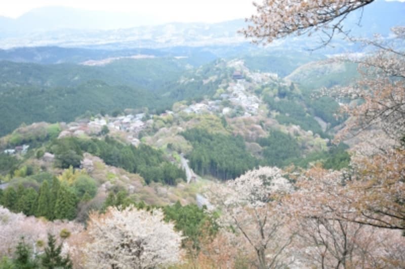 花矢倉展望台からの眺望