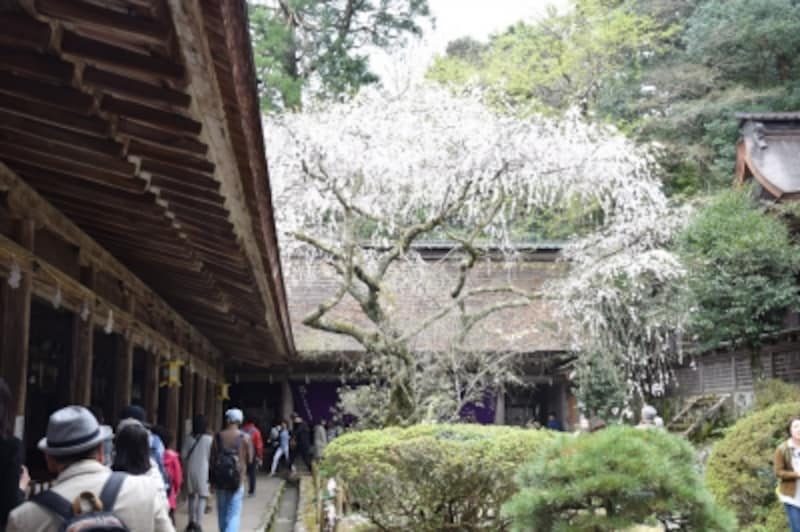 吉野水分神社