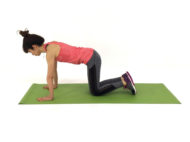 自慢したくなるヒップエクサ1undefined両手、両膝を床につけます。