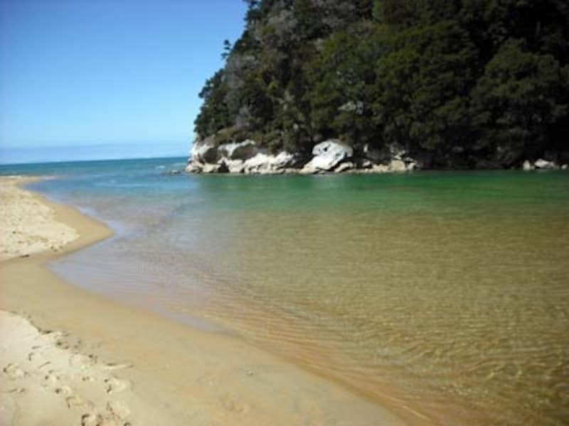 透き通ったビーチが人気のエイベルタズマン国立公園