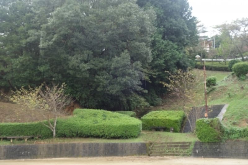 工房のすぐ近くにある、有田最古と言われる窯跡へ。公園になっていた。