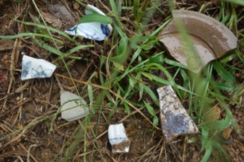 窯跡の周りは今もたくさんの陶片が落ちている。