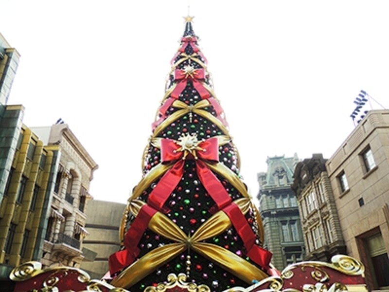 クリスマスツリー