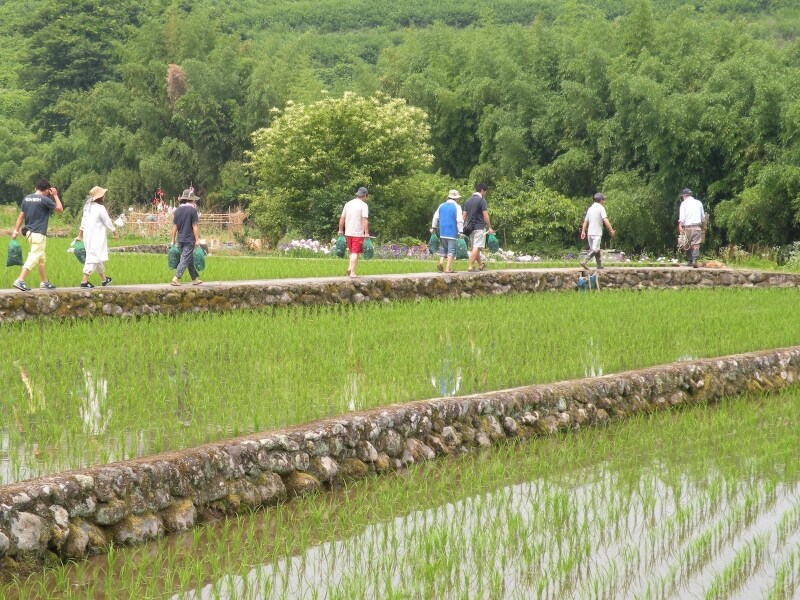 ライブな情報を体感する