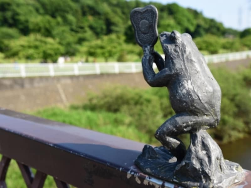 行司役のカエルも