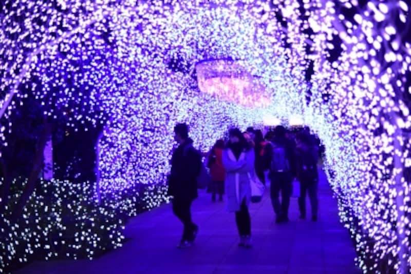 今年で19年目となる江の島の冬を彩る光の祭典『湘南の宝石』