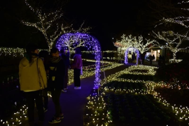 ライトアップされた「みどりの広場」(2017年12月15日撮影)