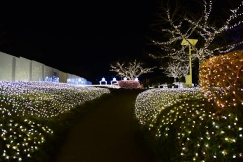 ライトアップされた「亀ヶ岡広場」(2017年12月15日撮影)