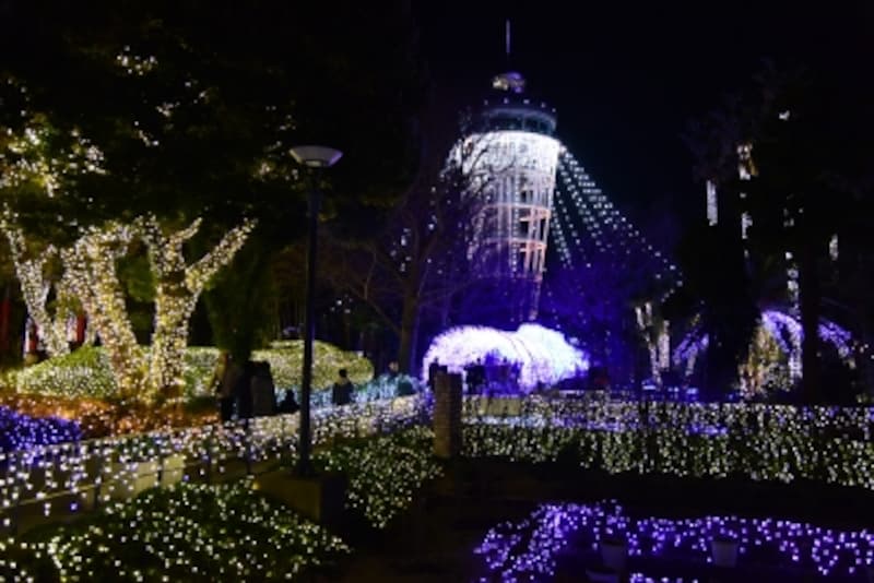 『湘南の宝石』メイン会場である「サムエル・コッキング苑」(2017年12月15日撮影)