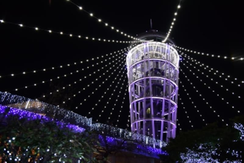 ライトアップされたシーキャンドルを中心とする【光の大空間】(2017年12月15日撮影)