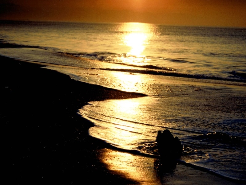 朝日から、海の上に伸びる光の道。日が昇ったら、初詣も楽しみ