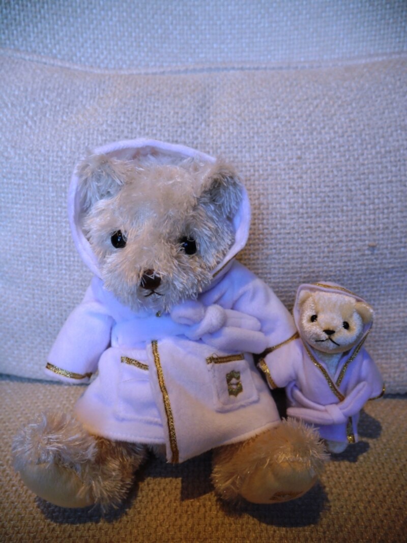 ベアとミニベア