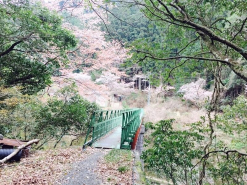 町の様子