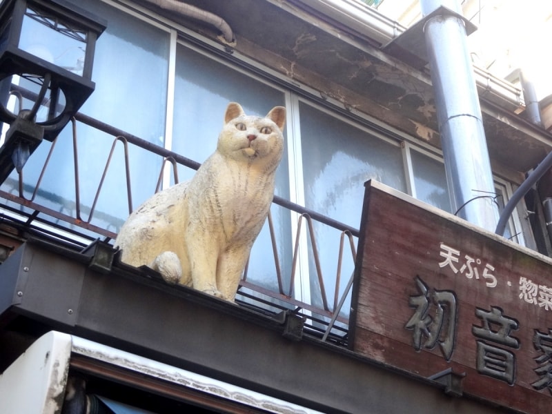 ごく自然に看板の横にいた