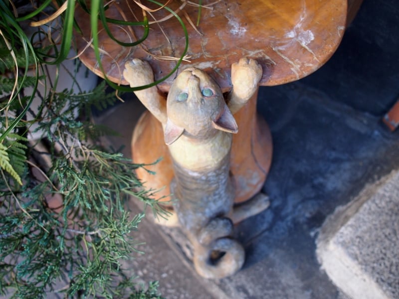 こちらもリアルな猫