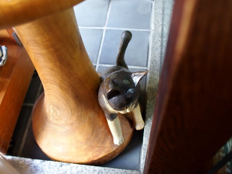 可愛い猫ちゃんだ