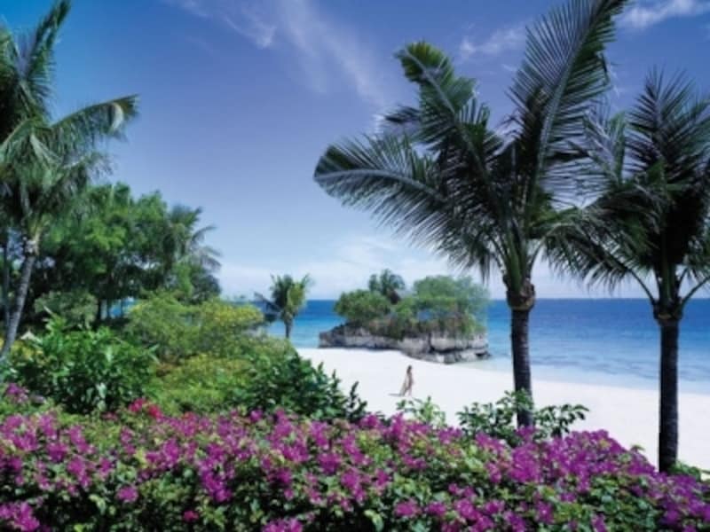 セブ島のオプショナルツアーundefinedベルトラ