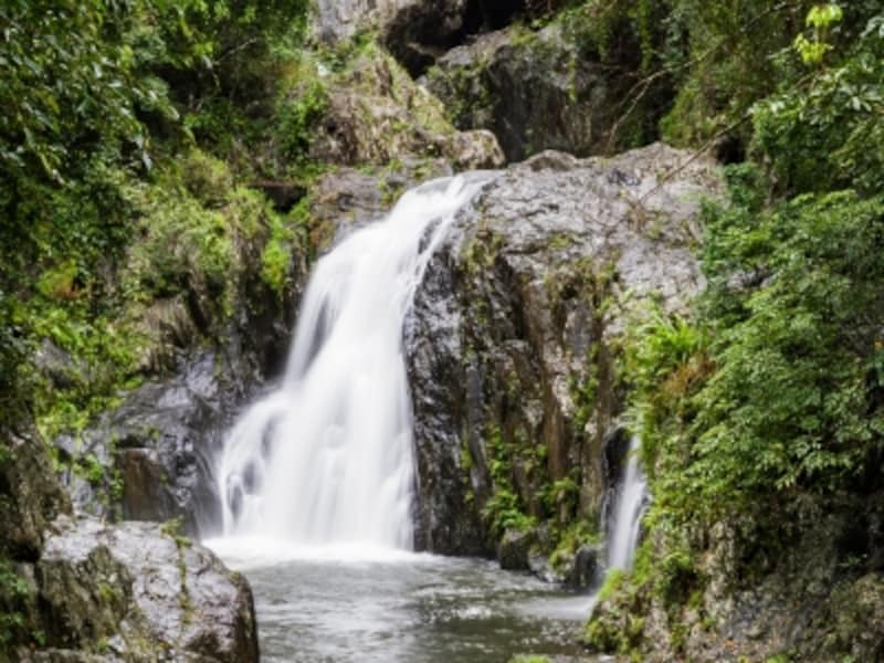 ケアンズのオプショナルツアーundefinedベルトラ