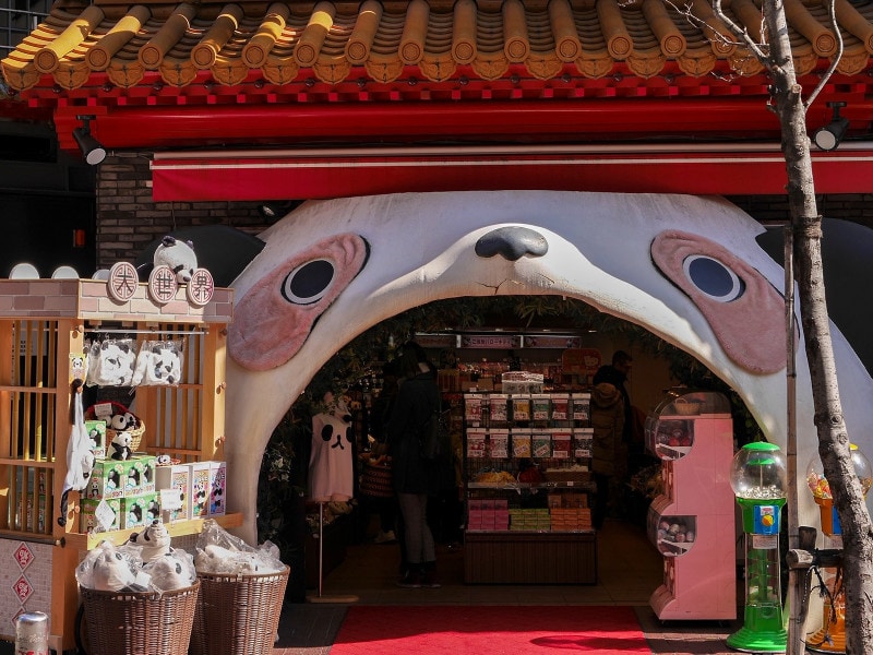 中島敦と泉鏡花が芥川龍之介と合流した、横浜中華街にある横浜大世界のパンダ門(2018年2月17日)