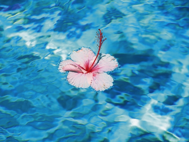 水のような透明感のあるブルーは、「水」の気を強めます。