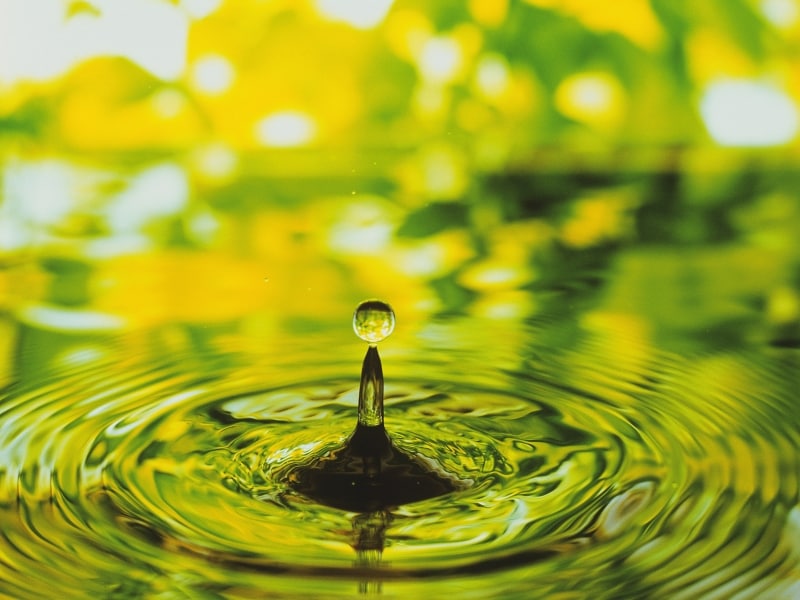 鮮やかなイエローグリーンは、出会い運を引き寄せます。