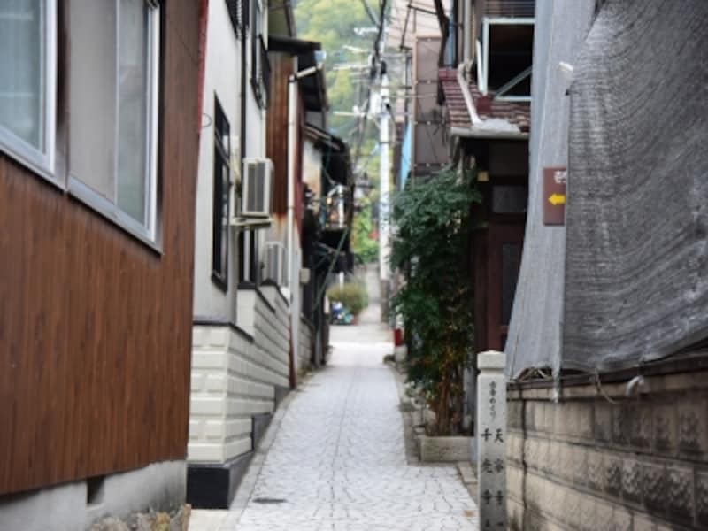 尾道は、迷路のような細い路地が多い。路地を歩いていると、どこか懐かしさを感じる