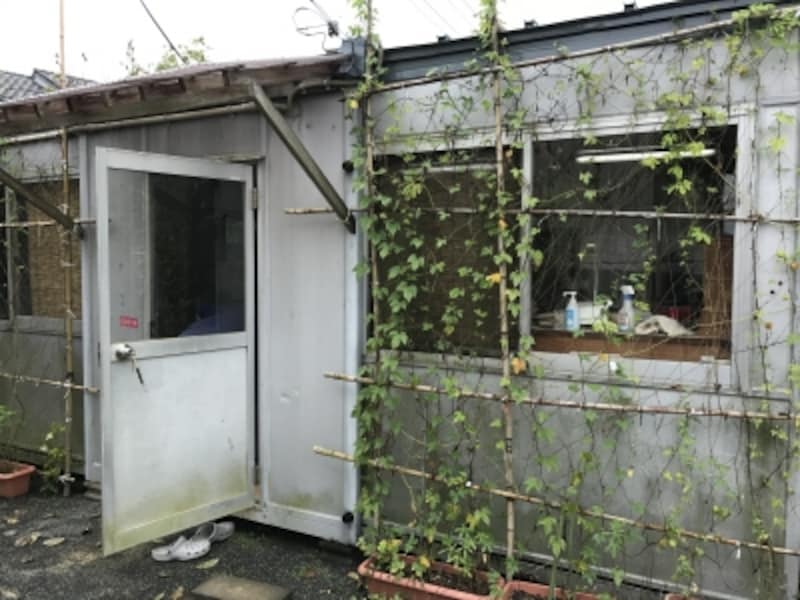 この小さなプレハブ小屋が工房です。