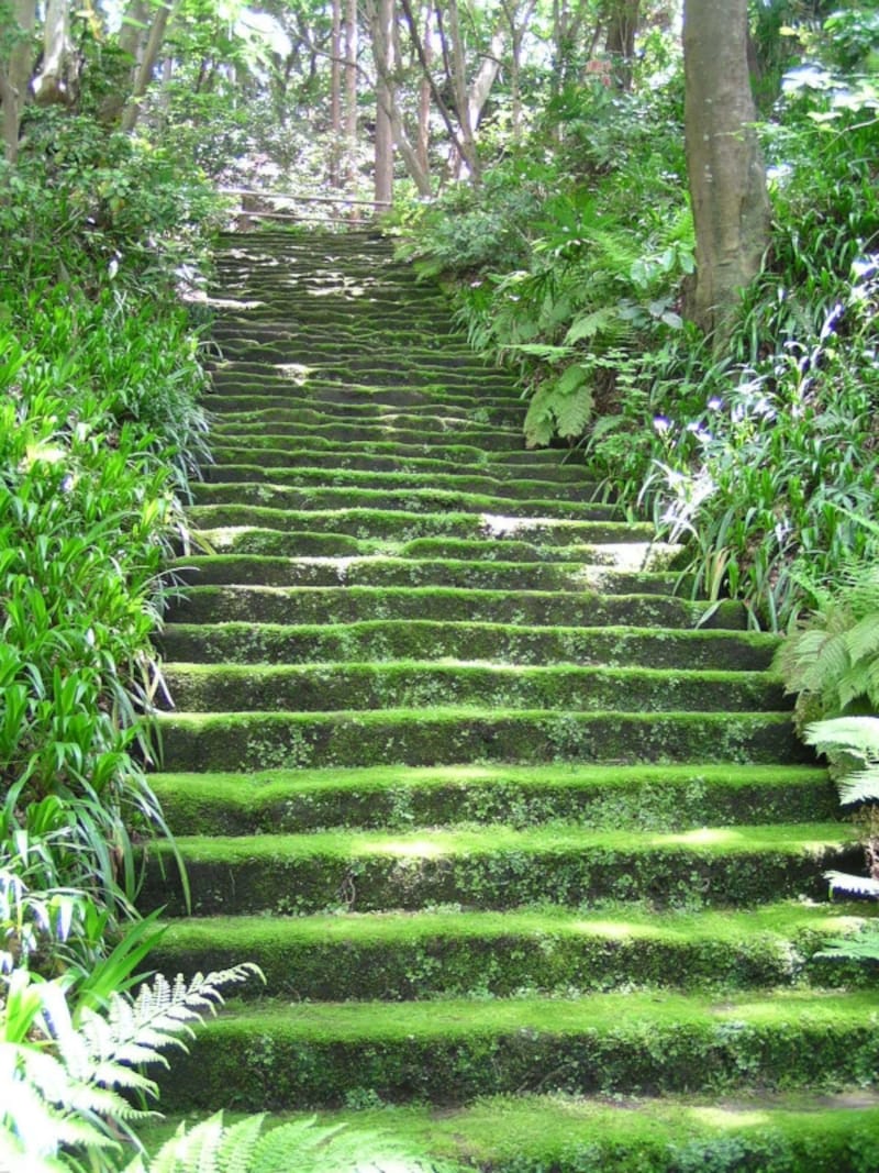 「こけ寺」妙法寺のこけ石段